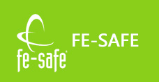 FE-SAFE